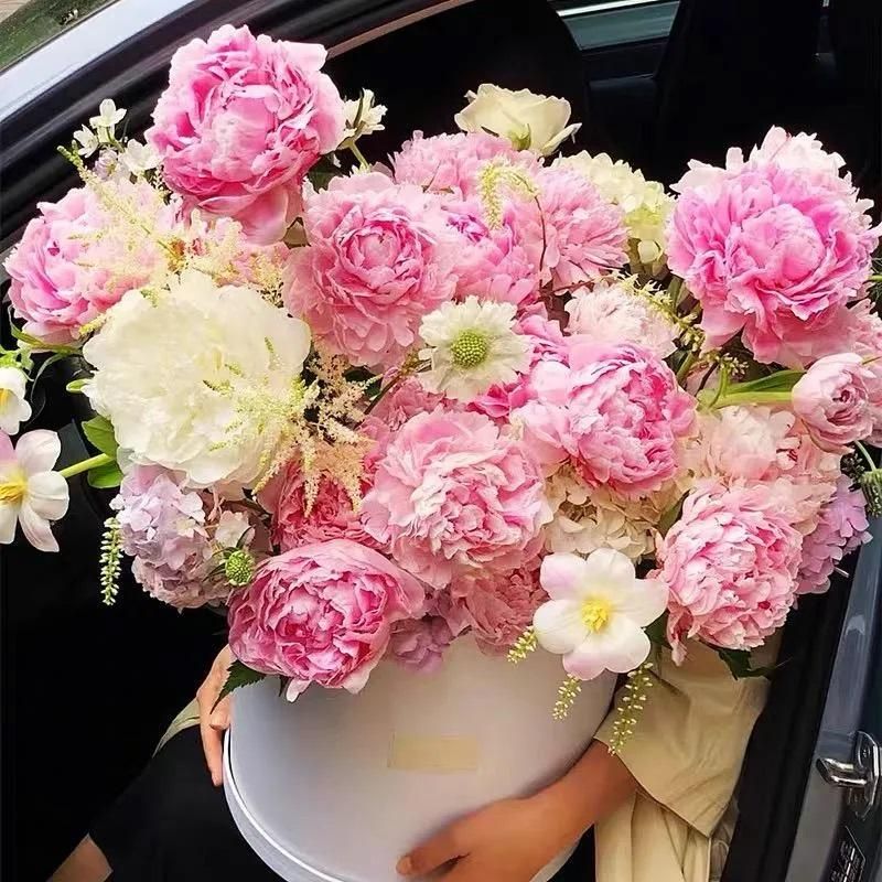 The Queen of Flowers Peony Flower™ (Pack of 20)